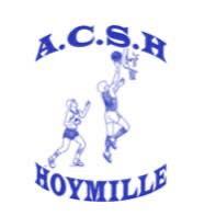 HOYMILLE ACS - 2